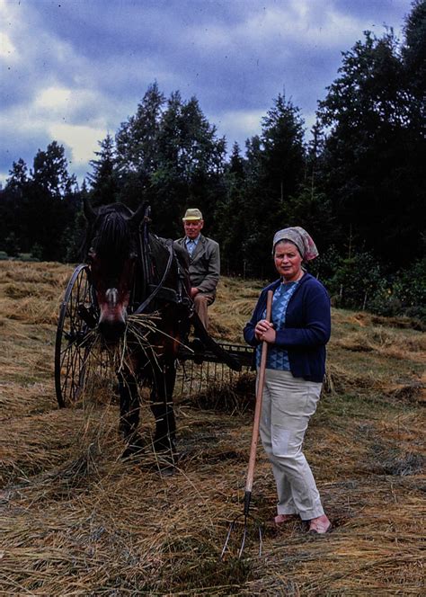 Höslåtter 1974 Englunds Fotoarkiv