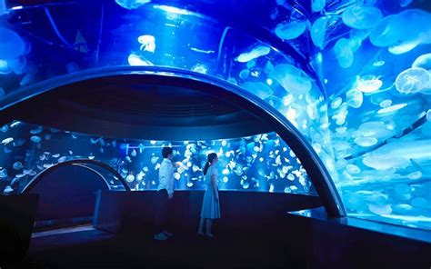 Kyoto Aquarium Tickets | Headout