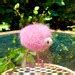 Pygmy Puff Crochet Pattern - Etsy