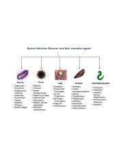 Classification-of-infectious-diseases-based-on-their-causative-agents ...