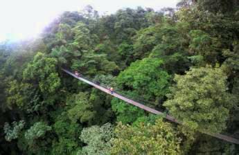 Mistico Arenal Hanging Bridges Park tours en grupos pequeños