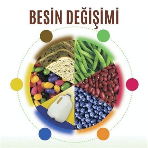 Besin değişimi Prof Dr Nevrez Koylan