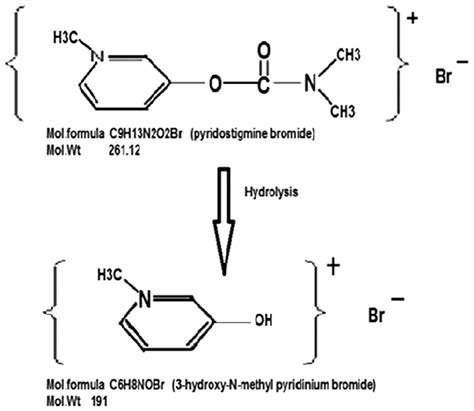 Scheme Of Alkaline Hydrolysis Of Pyridostigmine Bromide Download Scientific Diagram