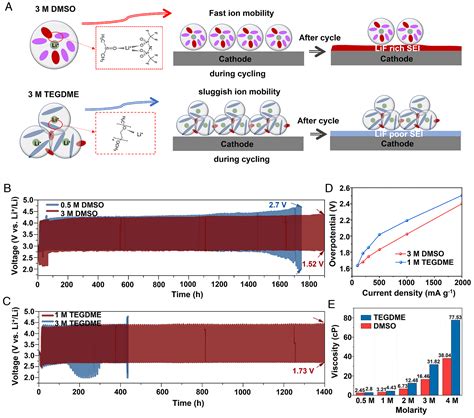 Regulating The Reduction Reaction Pathways Via Manipulating The