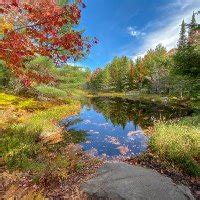 Lyn Of The Lorca On Twitter Kaiman 800 Once The Rough Sex Is Finished I Hope There S Some