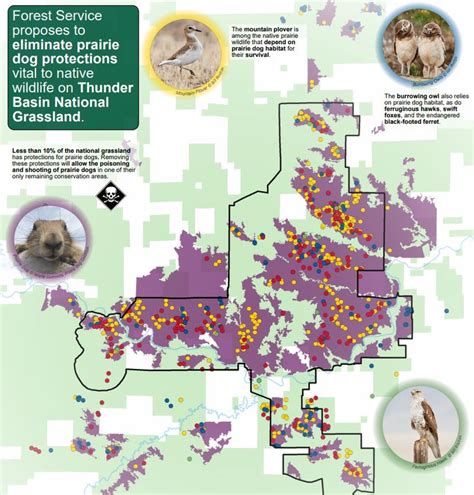 Thunder Basin National Grasslands - U.S. Forest Service's Plan ...