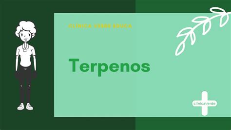 Qu Son Los Terpenos Y Por Qu Deber A Importarte Youtube