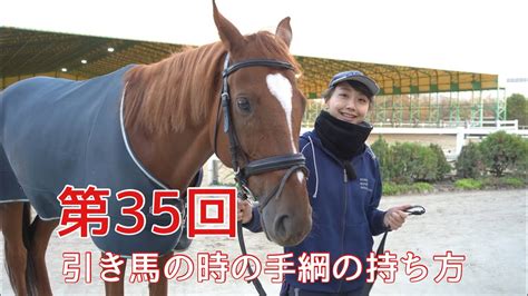 【動画で乗馬レッスン35】引き馬の時の手綱の持ち方｜神戸からすぐの乗馬クラブ明石乗馬協会 Youtube