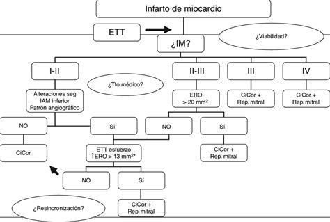 Algoritmo De Actuaci N En Caso De Im Post Iam Cicor Cirug A De