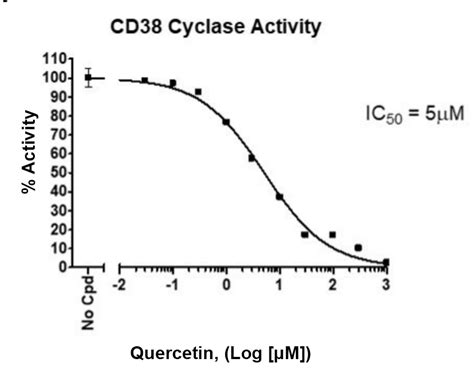 Cd Inhibitor Screening Assay Kit Cyclase Activity