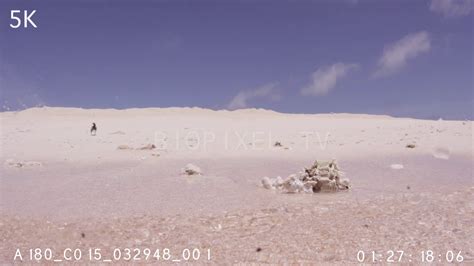 4K Raine Island POV Of Turtle Arriving To Nest On Island 5K On Vimeo