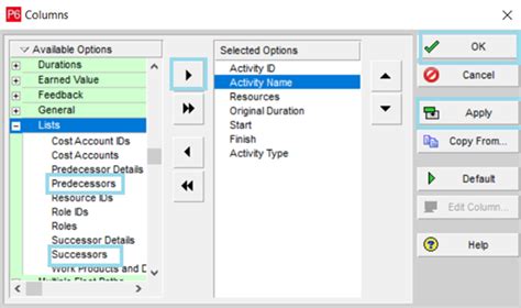 Navigating Project Complexity With Primavera P6 Relationships