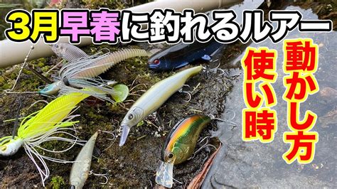 【バス釣り】3月ルアー早春・春のおすすめクランクベイト・ビッグベイト・シャッドの動かし方や使い方を解説してみた【スピナーベイト】【巻物