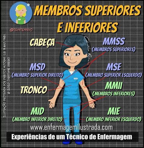 O Que Significa Mmii - Importância dos MMII na Enfermagem: Um Guia Completo - Enfermagem 4You