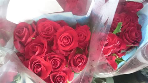 Red Roses For Valentines Day — Eumundi Roses