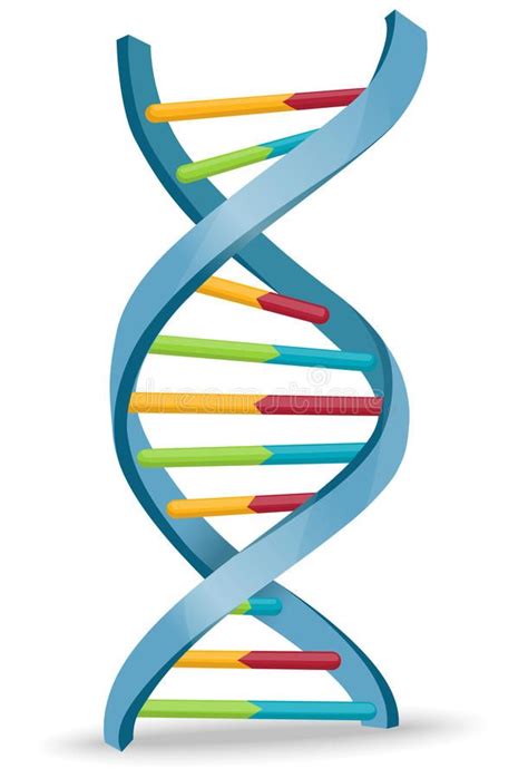 DNA. Vector illustration of human DNA structure , #affiliate, #Vector ...