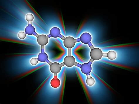 Guanine Organic Compound Molecule Photograph By Laguna Design Science