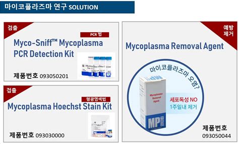 마이코플라즈마 오염확인을 위한 Pcr 검출 키트 Bric