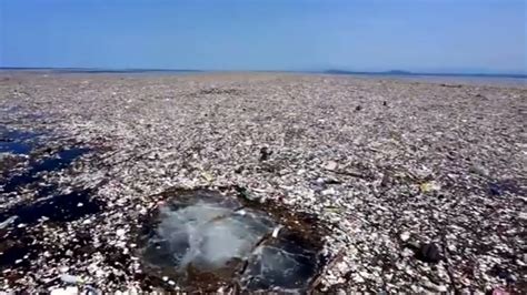 Trash Ure Island Huge Rubbish Flotilla Found In Sea