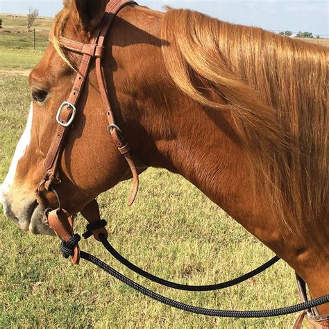 Martin Saddlery 12 Braided Rein Reining Braids Western Horse