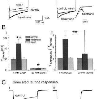 Effect Of Halothane On The Response To The Low Affinity Agonist Taurine