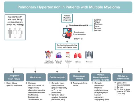 多发性骨髓瘤的肺动脉高压的病因：一个病例系列和文献回顾 Medscicn