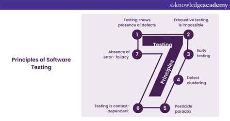 7 Software Testing Principles You Must Know