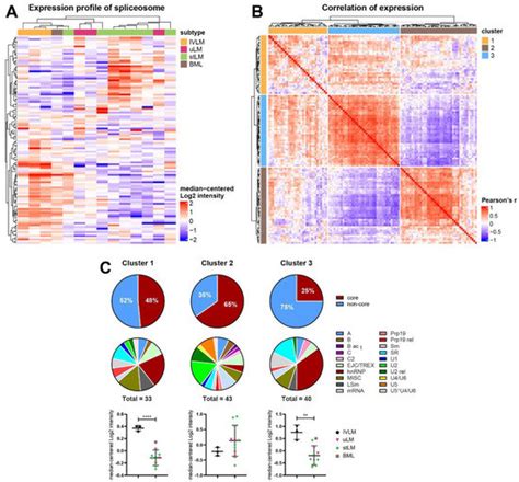 Cancers Free Full Text Proteomic Profiling Identifies Co Regulated