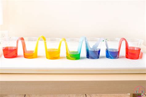 Rainbow Walking Water Science Experiment For Kids