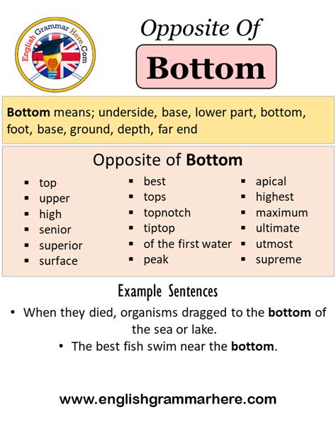 Opposite Of Bottom Antonyms Of Bottom Meaning And Example Sentences English Grammar Here