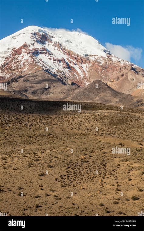 Chimborazo volcano, Ecuador Stock Photo - Alamy