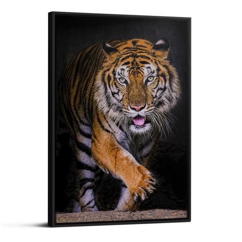 Quadro Tigre Bravo Quadro Decorativo Tigre Imponente Quadro Para