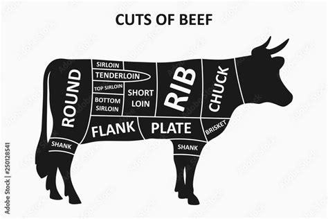 Cuts of beef scheme with cow. Meat cuts poster for butcher shop. Vector ...