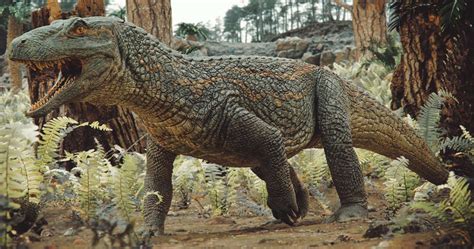 Crocodilo É Um Reptil - Descoberta nova espécie de réptil fóssil, ancestral de crocodilos, no RS