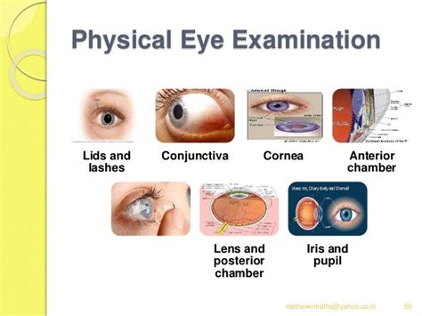 Eye Assessment Ppt