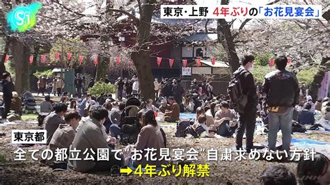 コロナ禍経て4年ぶりのお花見宴会 桜の名所東京上野 TBS NEWS DIG