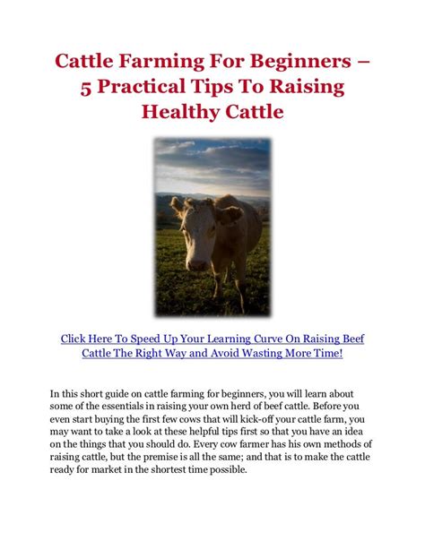 Cattle Farming For Beginners – 5 Practical Tips To Raising Healthy Ca…