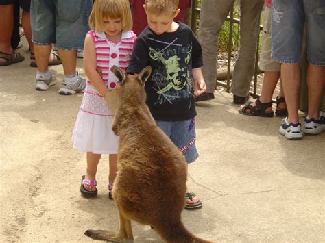 Ballarat Wildlife Park - Australia Photo (560466) - Fanpop