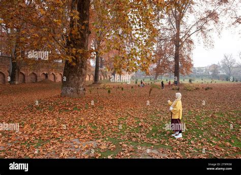 Srinagar Indian Controlled Kashmir Th Nov A Woman Takes