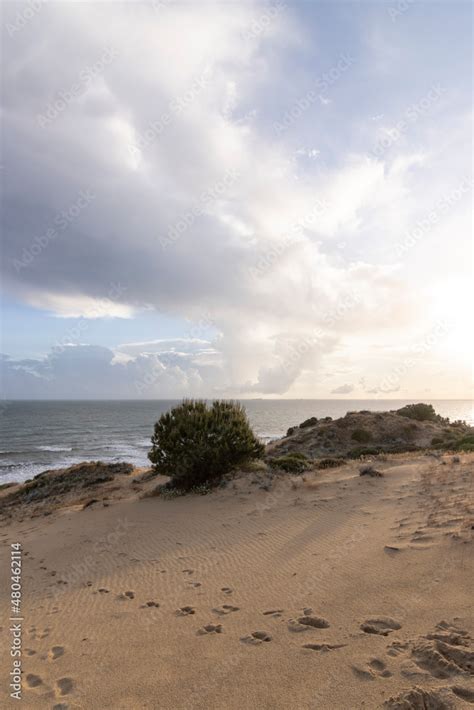 Mazagon beach, in the province of Huelva, Spain. One of the most ...