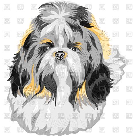 Shih Tzu Silhouette Vector At Vectorified Collection Of Shih Tzu