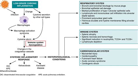 Medicc Review Implications Of Low Grade Inflammation In Sars Cov 2