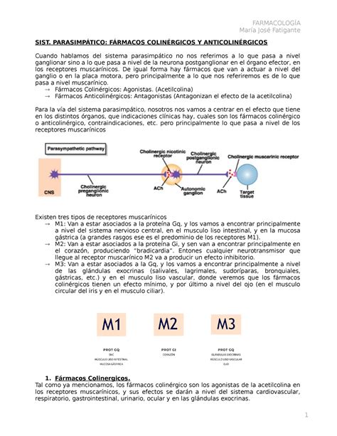 14 Fármacos Colinérgicos Y Anticolinérgicos FARMACOLOGÍA María José