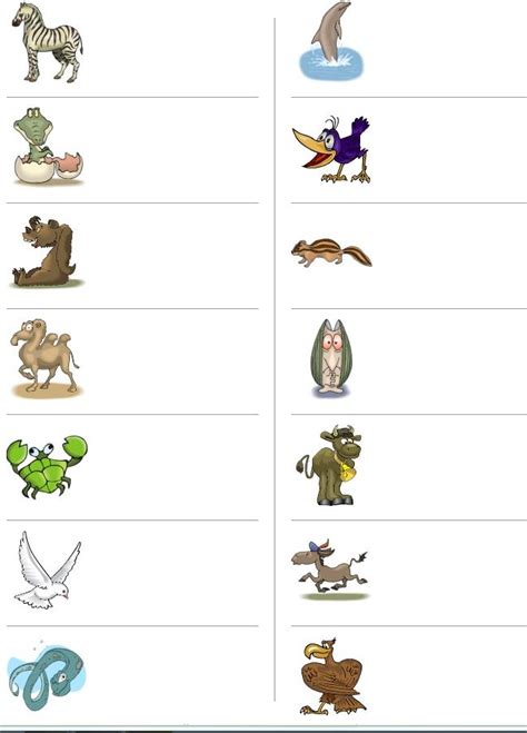 Animals spelling exercise learning English basics