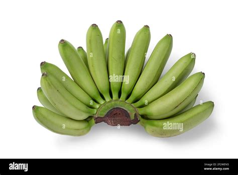 Bunch Of Green Mini Bananas Isolated On White Background Stock Photo