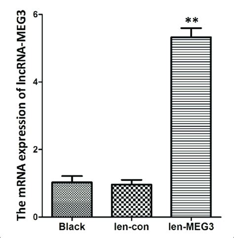 Expression Level Of Lncrna Meg3 In Each Group Detected Via Qpcr The