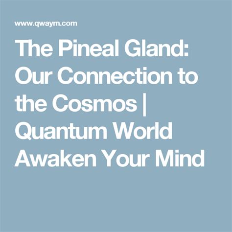 The Pineal Gland Our Connection To The Cosmos Quantum World Awaken