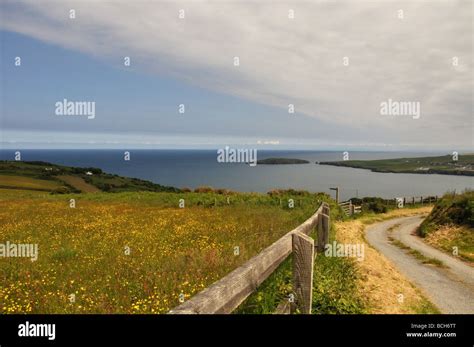 Cardigan Island Pembrokeshire Coastal Path Stock Photo - Alamy