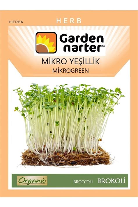 GARDEN NARTER Şeker Pancarı Tohumu Doğal Organik Tohum Pakette 10 gr