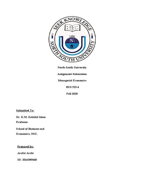 nsu assignment analysis  errors  residuals demand